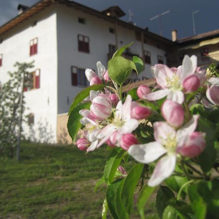 Romeno Agritur Maso San Bartolomeoヴィラ エクステリア 写真
